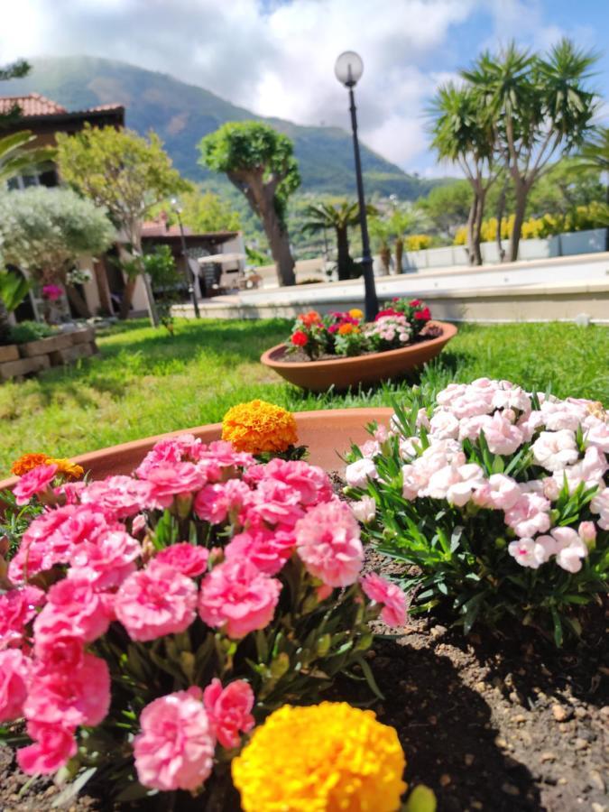Villa Antonietta Ischia Eksteriør bilde