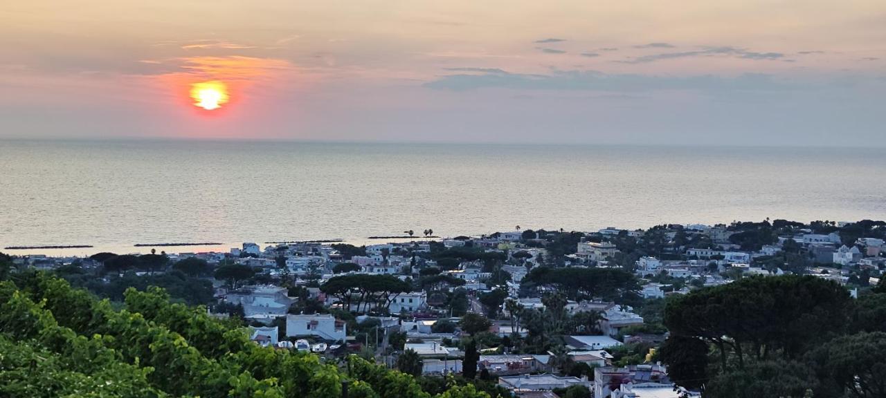 Villa Antonietta Ischia Eksteriør bilde