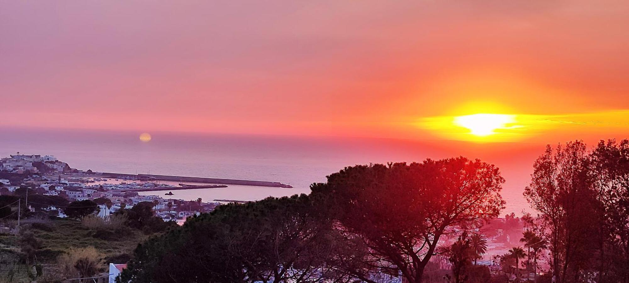 Villa Antonietta Ischia Eksteriør bilde